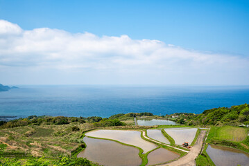 Naklejka premium 東後畑棚田 山口県長門市