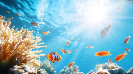 Obraz premium Vibrant Coral Reef with Colorful Fish Underwater Scene