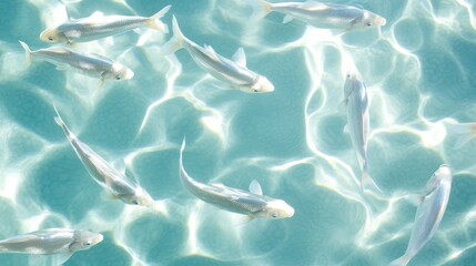 Obraz premium Graceful Fish Swimming in Clear Aquatic Environment