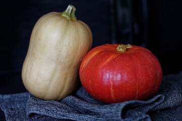 Pumpkin and squash on a dark background. Selective focus.