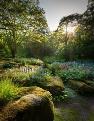 Sunlight filtering through trees