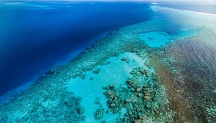 Obraz premium Aerial view of a coral reef
