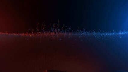 Macro shot of the skin and texture of the hair standing on end.