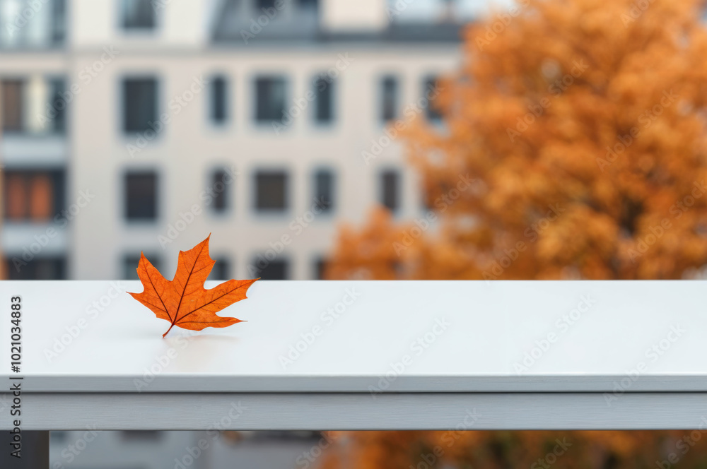 Aufkleber single orange maple leaf lying on empty white table with defocused cityscape background