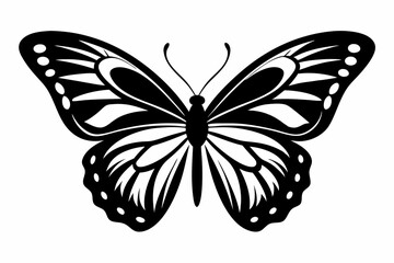 Butterfly silhouette, Butterfly stencil vector, Butterfly silhouette icon