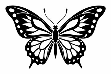 Butterfly silhouette, Butterfly stencil vector, Butterfly silhouette icon