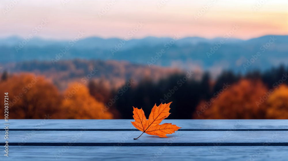 Aufkleber single orange maple leaf lying on empty wooden table with blurred autumn forest in background