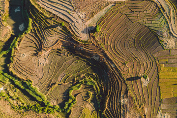 Madagascar - aerial view of agricultural fields