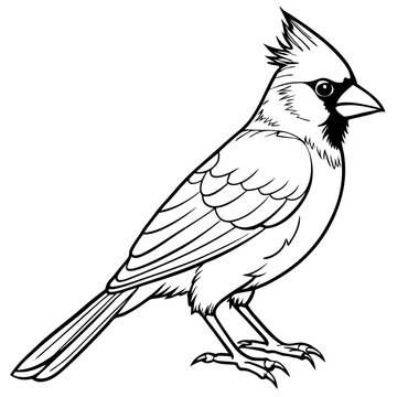 recommend clip art: Cardinal bird on branch Vector, silhouette, line art, bird on a branch Isolated on white background