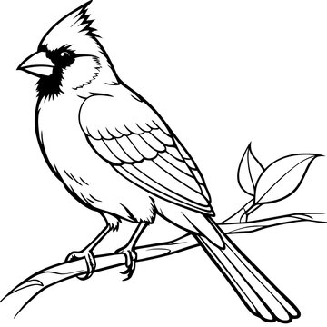 recommend clip art: Cardinal bird on branch Vector, silhouette, line art, bird on a branch Isolated on white background