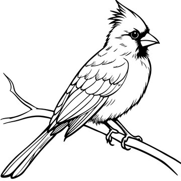 recommend clip art: Cardinal bird on branch Vector, silhouette, line art, bird on a branch Isolated on white background