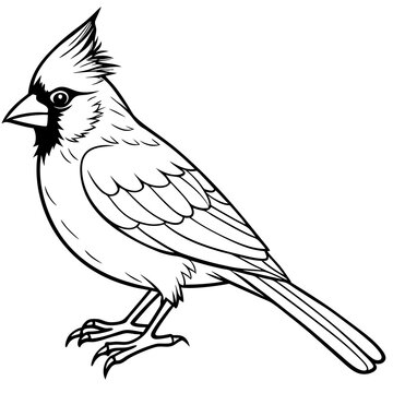 recommend clip art: Cardinal bird on branch Vector, silhouette, line art, bird on a branch Isolated on white background