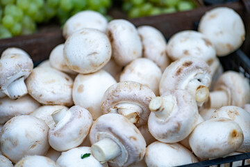 Mushrooms displayed on a farmer's market counter