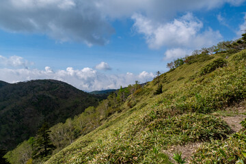 五色山へ続く登山道　栃木県日光市日光国立公園