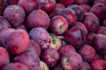 red apples displayed on a farmer's market counter