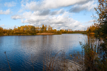 A lake surrounded by autumn forest with yellow foliage on the outskirts of the city. The banks of the reservoir are covered with reeds and cattails. A beautiful blue sky with clouds