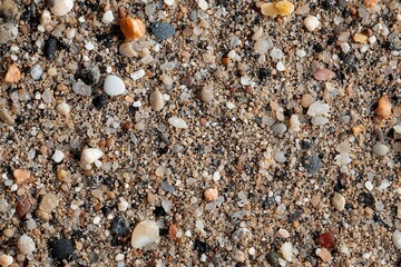 Sand Textur Nahaufnahme Bunte Steine Muscheln Strand Naturmaterialien Detailreiche Struktur Küstenoptik Natürliche Farben Hintergrund Dekor Texturiertes Muster Maritimes Design Detaillierte Fotografie