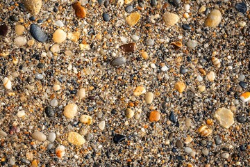 Sand Textur Nahaufnahme Bunte Steine Muscheln Strand Naturmaterialien Detailreiche Struktur Küstenoptik Natürliche Farben Hintergrund Dekor Texturiertes Muster Maritimes Design Detaillierte Fotografie
