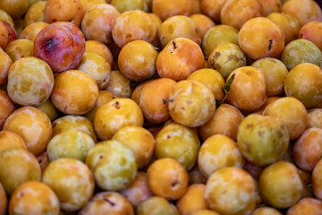 yellow plums displayed on a farmer's market counter