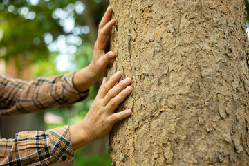 Embrace the beauty of the world and its natural wonders. Protect and cherish the environment. Foster a deeper connection with nature, wildlife, and the unity of our planet.