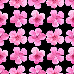 Watercolour pink delicate flowers illustration seamless pattern. On black background. Drawn Botanical. Hand painted floral flower. Summer, spring vibes print. For fabric, wallpaper, wrapping.