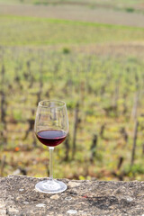 Glass of pinot noir red wine in early spring vineyards near Aloxe-Corton, Burgundy, France