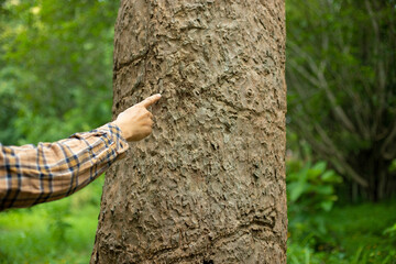 Embrace the beauty of the world and its natural wonders. Protect and cherish the environment. Foster a deeper connection with nature, wildlife, and the unity of our planet.