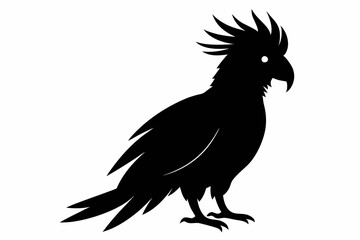 Cockatoo black silhouette vector, parrot silhouette, Cockatoo bird