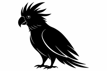 Cockatoo black silhouette vector, parrot silhouette, Cockatoo bird