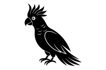 Cockatoo black silhouette vector, parrot silhouette, Cockatoo bird