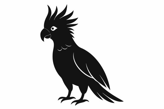 recommend clip art: Cockatoo silhouette vector, Palm cockatoo bird icon vector illustration