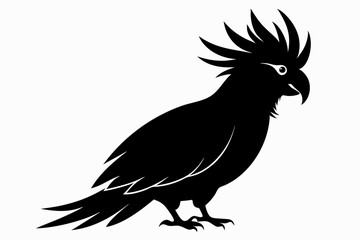 Cockatoo silhouette vector, Palm cockatoo bird icon vector illustration