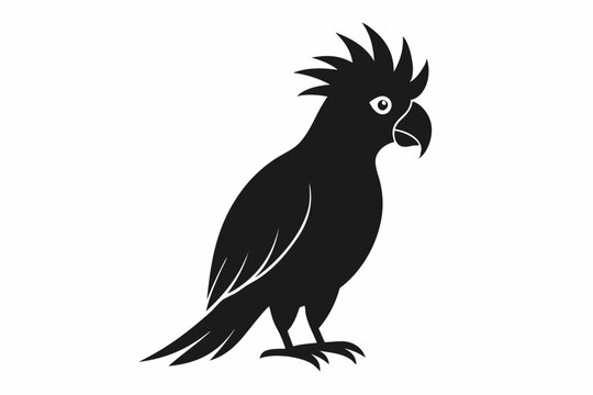 recommend clip art: Cockatoo silhouette vector, Palm cockatoo bird icon vector illustration