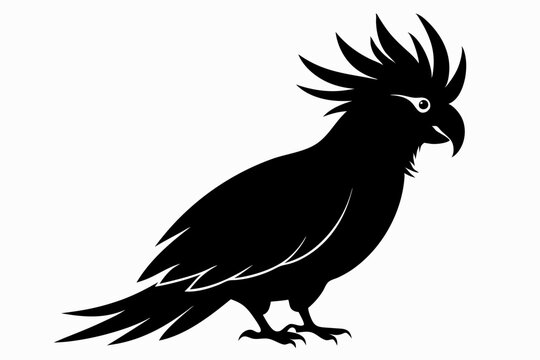 recommend clip art: Cockatoo silhouette vector, Palm cockatoo bird icon vector illustration