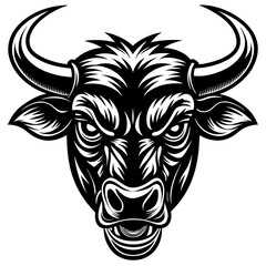 head of bull