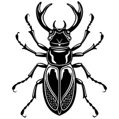 black and white beetle
