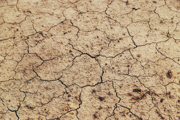 Texture dry cracked soil. Selective focus.