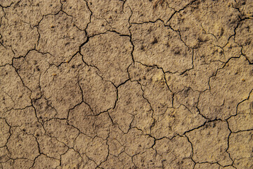Texture dry cracked soil. Selective focus.