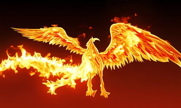 A phoenix  a mythical bird  rising from the ashes  its wings ablaze with fire. 