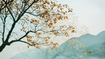Scenic Autumn Landscape with Mountain and Colorful Foliage