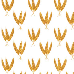 Seamless pattern cereal wheat, oat and barley ears spikelets. For design beer, bread, flour packaging. Symbols for healthy natural farming food, whole organic spikelets elements on white