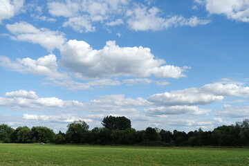 Wiese mit Baeumen und Wolken