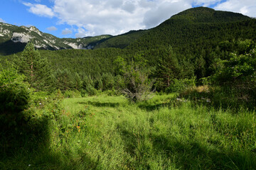 Naturlandschaft von Masna Luka im Čvrsnica-Gebirge - Naturpark Blidinje, Bosnien und Herzegowina