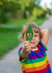 Child holding a leaf of a plant. Selective focus.