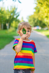 Fototapeta premium Child holding a leaf of a plant. Selective focus.