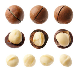 Many macadamia nuts isolated on white, collage