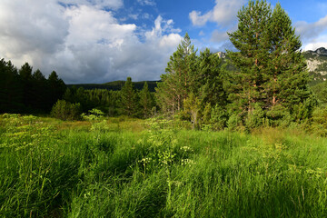 Naturlandschaft von Masna Luka im Čvrsnica-Gebirge - Naturpark Blidinje, Bosnien und Herzegowina // Natural landscape of Masna Luka in the Čvrsnica Mountains - Blidinje Nature Park, Bosnia and Herzego