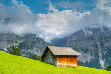 Obraz premium View on the alpine valley Grindelwald. Jungfrau, Switzerland. Under the Bernese alps. Mountain village.
