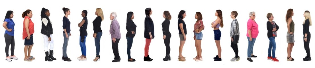 Obraz premium line of side view of a large group of women on white background