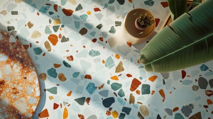 Colorful Terrazzo Floor with Sunlight and House Plant
